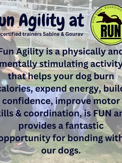 Fun Agility is more than just running around. It's a full mind and body workout that builds confidence, improves coordination, and creates an incredible bonding opportunity for you and your dog.