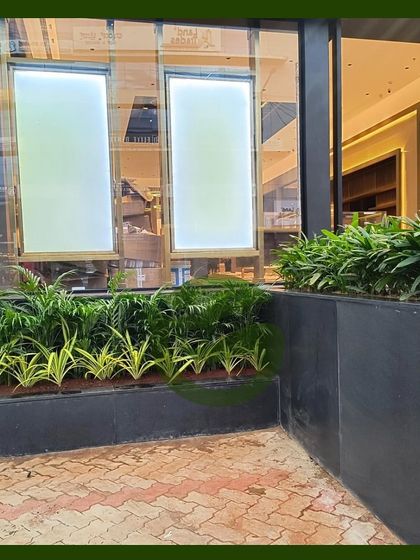 A closer look at the layered planting we did for the Ethos storefront. We used a mix of taller plants in the back and shorter, lighter green foliage in the front to create depth and visual interest.