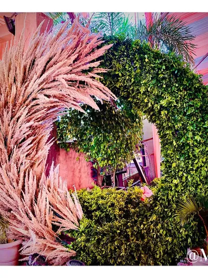 A unique photo backdrop combining a circular frame of natural greenery with an arc of dried pampas grass. It offers a modern and earthy aesthetic for guest photos.