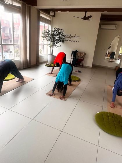 Students hold Downward-Facing Dog, their alignment showing the progress of their practice.
