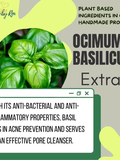 Highlighting Basil (Ocimum Basilicum) extract. Its anti-bacterial and anti-inflammatory properties make it an effective pore cleanser and a great ingredient for acne prevention.