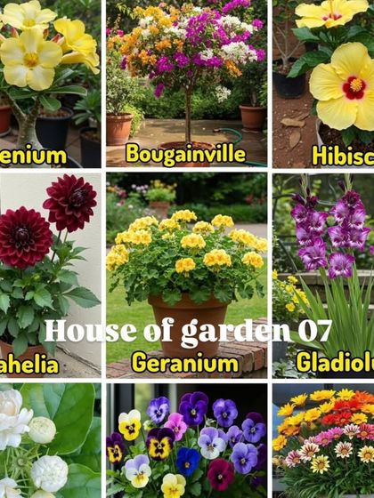 Vibrant Flowering Plants photo 24