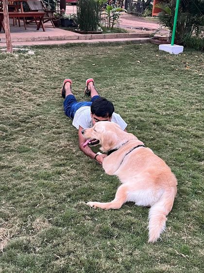 Poochkoo Mutts & Nutts - Dog-Friendly Cafe & Events Splash & Play: Pool and Off-Leash Fun photo 15