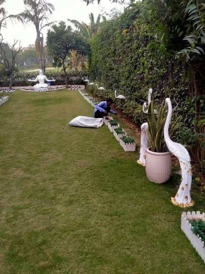 Our team is seen here performing meticulous landscaping work on a large private property. This image reflects our commitment to comprehensive garden and landscape services that complement our vertical wall installations.