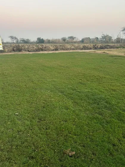 Another view of a completed lawn, ready for the client to enjoy. The grass is healthy, green, and evenly grown.