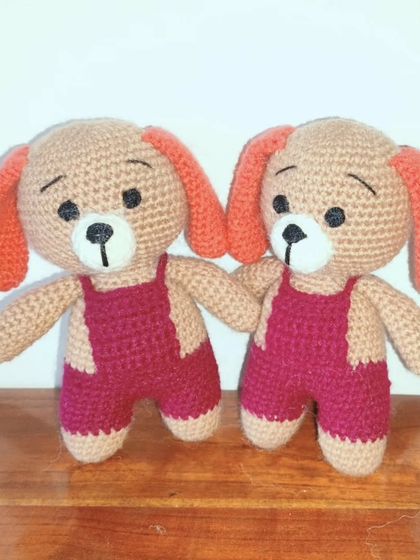 A pair of matching puppies with orange ears and magenta overalls.