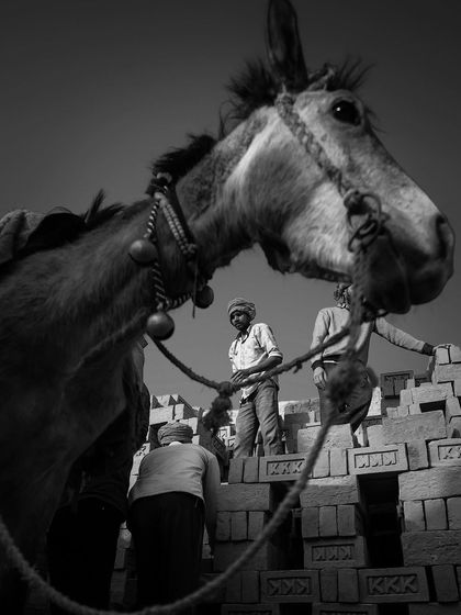 A low-angle, black and white shot focuses on a donkey in the foreground with workers and brick stacks behind, creating a unique perspective on the work site.