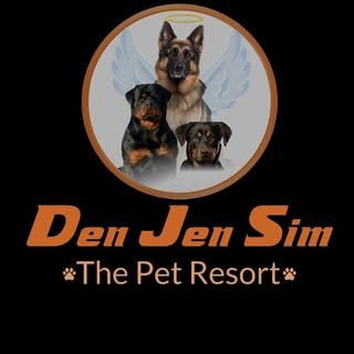 DenjenSim