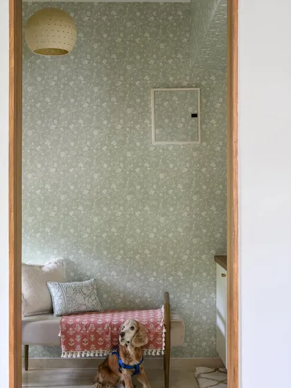 A welcoming nook in the 'House of Kismish' foyer, featuring a bench for their beloved pet, Kismish. The wallpaper cleverly conceals the DB board.