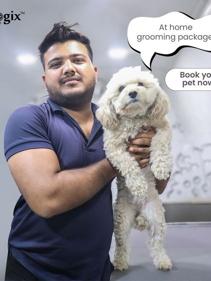 We offer at-home grooming packages for your convenience. Book your pet's session now and let our professional groomers take care of the rest.