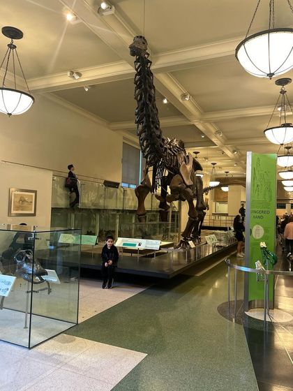 Hattennoki - Academic Tutoring & Enrichment Programs Our Learning Adventures photo 22