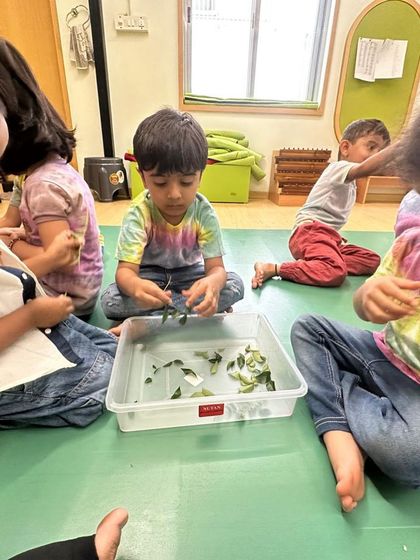 Evolve Montessori - Montessori Preschool Program Curious Hands, Happy Minds photo 13