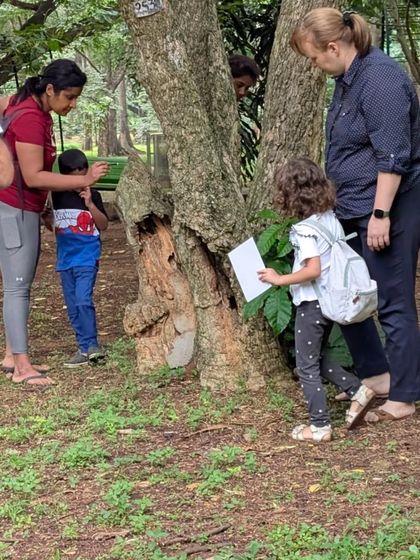 A family explores the textures of a tree trunk, a simple yet profound way to connect with nature. Our walks are full of these small, sensory moments.