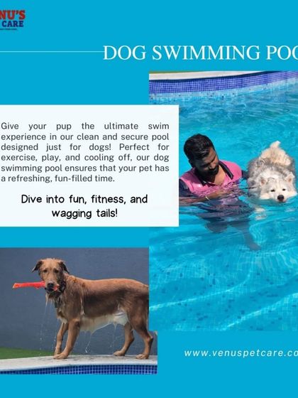 Venu's Pet Care - Dog Boarding and Daycare Splash Zone: Pool Adventures photo 16