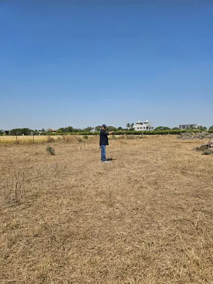 Assessing a large, open field for a future development project. The orientation and energy of the plot are crucial for the success of the venture.