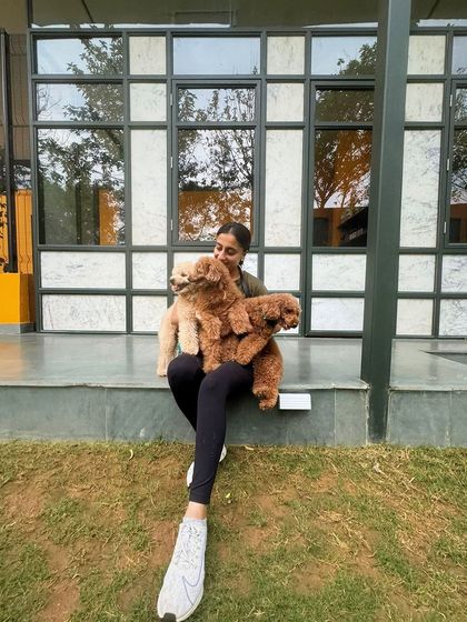 Being this cute is ruff work! A lap full of poodle love.
