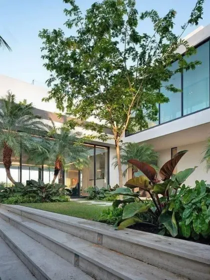 This design for a modern home uses multi-level planters and a mix of tropical foliage to create a dynamic courtyard garden. The greenery softens the building's contemporary lines.