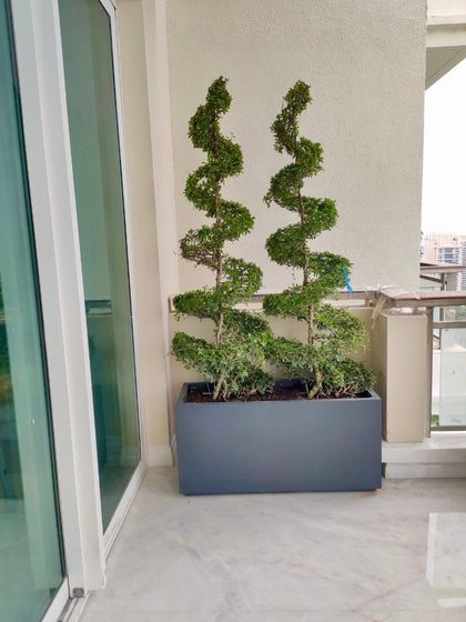 Whispering Gardens - Landscape & Garden Design Intimate Spaces: Balcony & Courtyard Havens photo 40