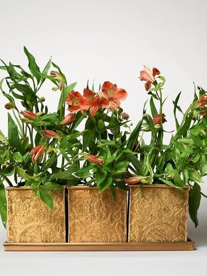 A straightforward product shot of Byaas Home's embossed brass planters. Set against a clean white background, this image clearly showcases the design and capacity of the product for an online catalog.