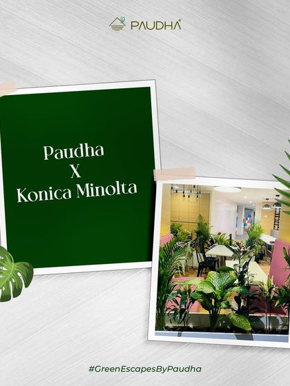 Paudha - Commercial Biophilic & Interior Design Office & Workspace Transformations photo 12