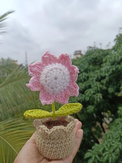 Cheerful Potted Plants photo 72