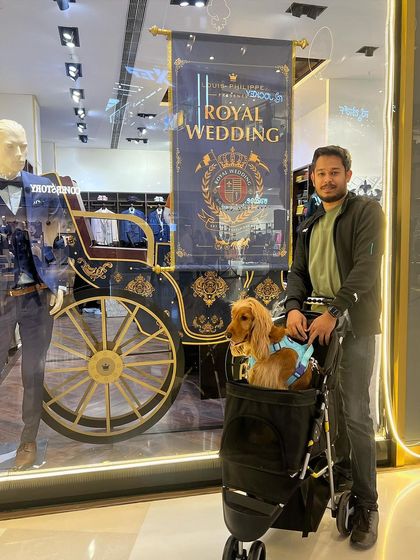Posto window shopping with his dad at the mall. He seems to have his eye on that royal wedding display.
