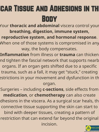 Body & Mind PhysioPilates Studio - Women's Health Physiotherapy My Treatment Philosophy photo 24