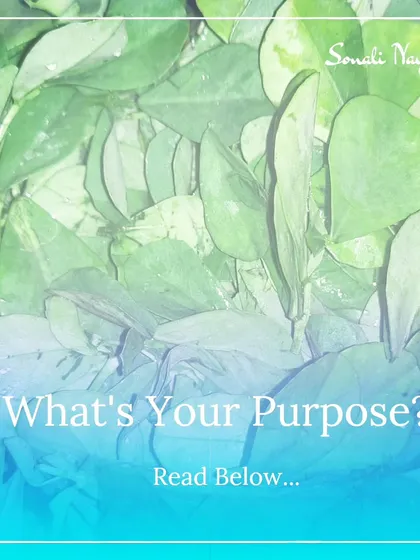 The question isn't just "What's for lunch?" It's "What's next for me?" I help midlife women look beyond their daily roles to rediscover their dreams, passions, and a greater purpose that nourishes their own soul.