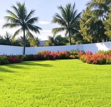 Garden & Lawn Designs photo 29