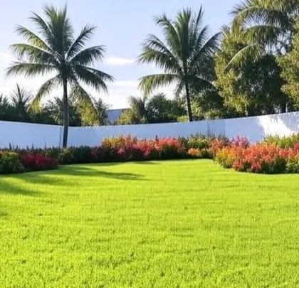 A tropical-inspired landscape with a bright green lawn, colorful flowering bushes, and palm trees. The white wall background makes the vibrant colors of the plants stand out.