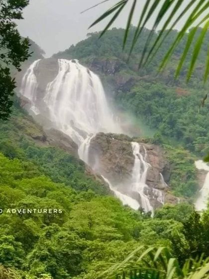 Dudhsagar Falls seen through the lush green foliage of the Western Ghats, a truly immersive nature experience.