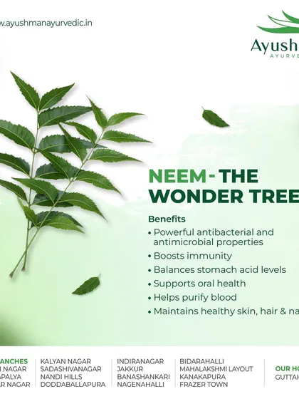 This post highlights the benefits of Neem, the "wonder tree." We explain its powerful antibacterial properties, its ability to boost immunity, purify blood, and maintain healthy skin and hair.