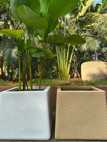 My bent square planters are structured and sophisticated. They are ideal for anyone looking for a clean and modern aesthetic for their garden.