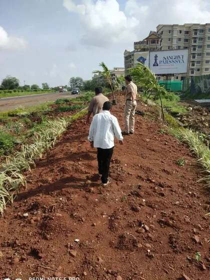 Inspecting a roadside plantation project. I also take on public works to green our community spaces.
