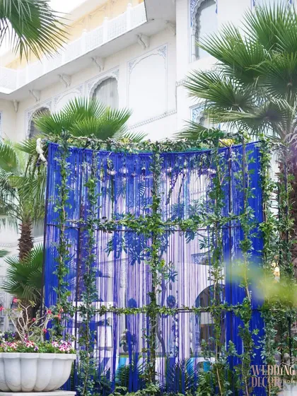 A blue tassel backdrop framed by climbing green vines, creating a beautiful contrast of color and texture.