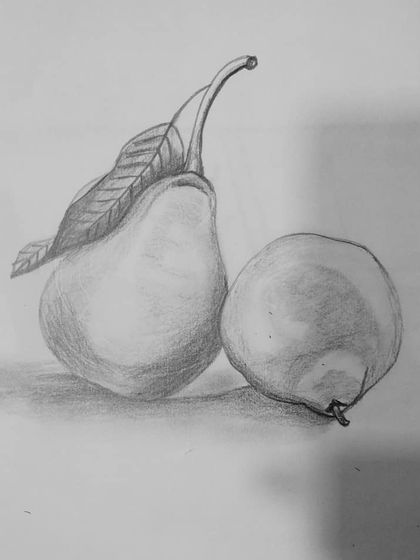 A graphite pencil drawing of pears, focusing on light, shadow, and form.