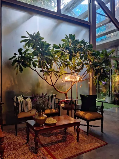 Creating cozy, intimate corners is one of our specialties. At the Arpita Mehta and Kunal Rawal pre-wedding party, we styled this seating area with a stunning Frangipani tree, creating a natural canopy over the traditional furniture. It’s how we make even the grandest events feel personal and inviting.