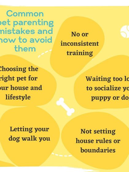 We share common pet parenting mistakes and how to avoid them. This guide covers topics like choosing the right pet, the importance of socialization, and consistent training.