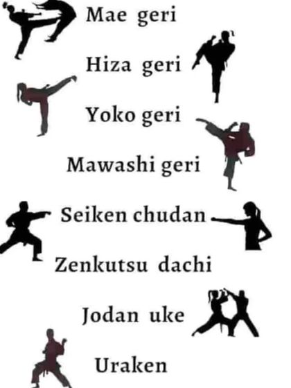 Revolution Martial Arts & Fitness Academy - Martial Arts Classes Mastering the Art: Karate & Kickboxing Techniques photo 12