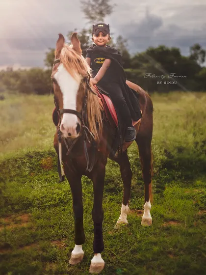 A young superhero on a grand adventure. This Batman-themed shoot on horseback is a perfect example of a creative outdoor session for older kids.