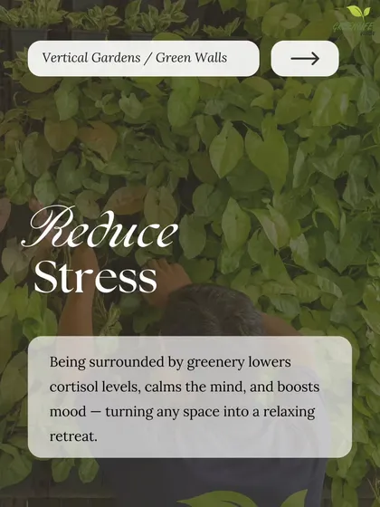 Being surrounded by greenery is scientifically proven to lower cortisol levels and calm the mind. Our walls turn any space into a relaxing retreat.