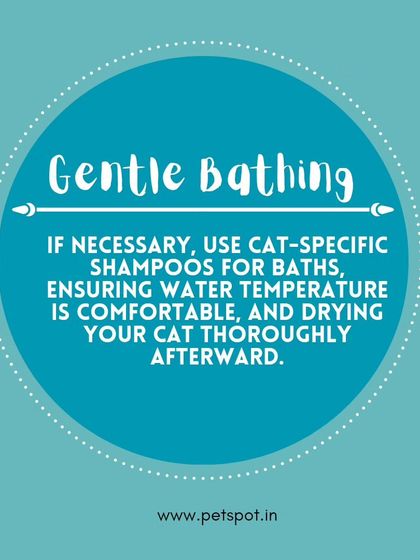 Pet Care & Grooming photo 5