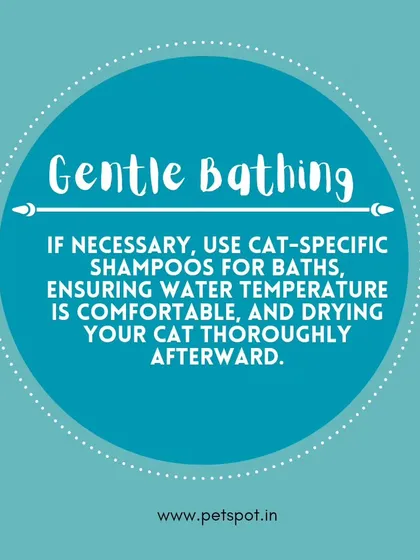 Cat Grooming Tip: Gentle Bathing. If a bath is necessary, always use cat-specific shampoos and ensure the water temperature is comfortable. We also stress the importance of drying them thoroughly.