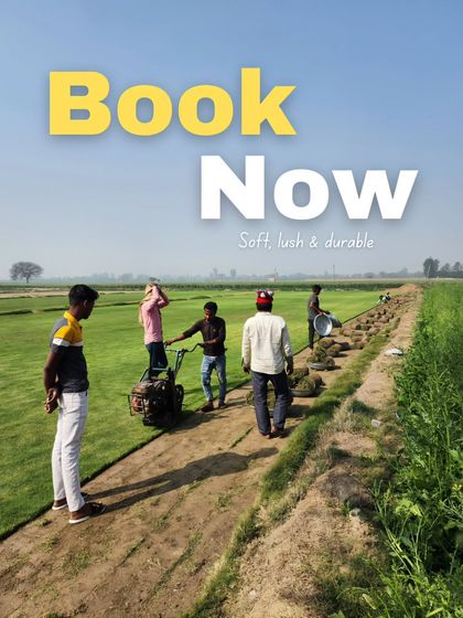 Delhi Gardner - Full-Service Landscaping Premium Lawn & Turf Solutions photo 21