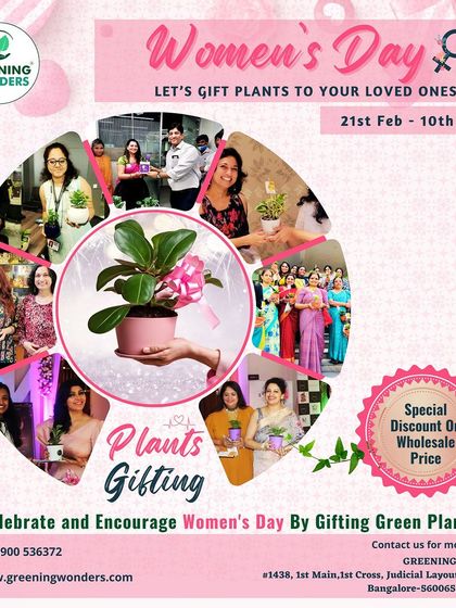 Greening Wonders - Corporate & Personal Plant Gifting Gifting for Every Celebration photo 3