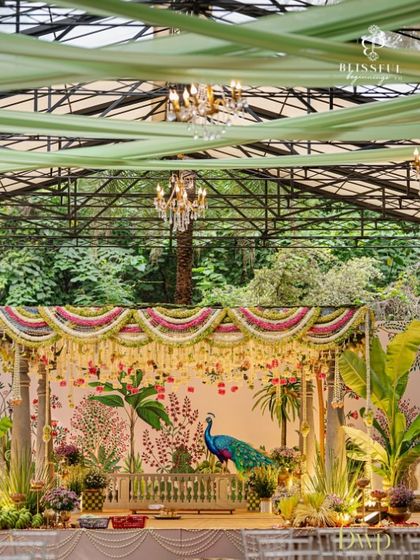 A wide shot of the peacock-themed mandap, showing the elegant draping on the glasshouse ceiling that complements the stage design. The chandeliers add a touch of regal sparkle to the traditional setup.