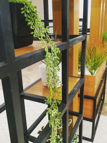 Morning Dews Landscapes - Interior Landscaping & Green Walls Restaurant & Cafe Plantscaping photo 5