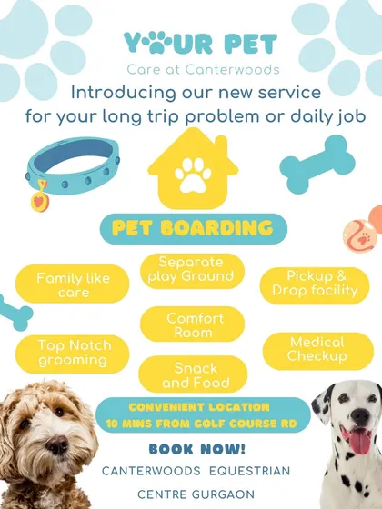 We've designed our pet boarding services to cover every need, ensuring your peace of mind and your pet's comfort. This overview shows our key features, from family-like care and a dedicated comfort room to medical checkups and a convenient pickup and drop-off facility.