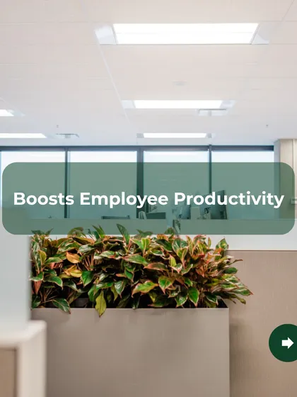 A greener workspace is a more productive one. Studies show that the presence of plants can boost employee focus and creativity. This installation is a perfect example of how I help companies invest in their team's well being.