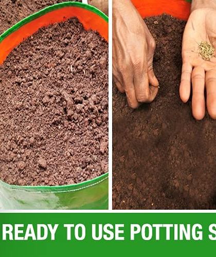 Multiplex Urban Green - Organic Gardening Supplies Soil & Nutrition: The Foundation of Your Garden photo 10